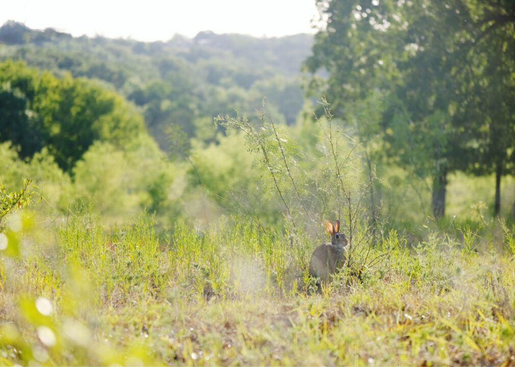 #44. Brooks County, Texas